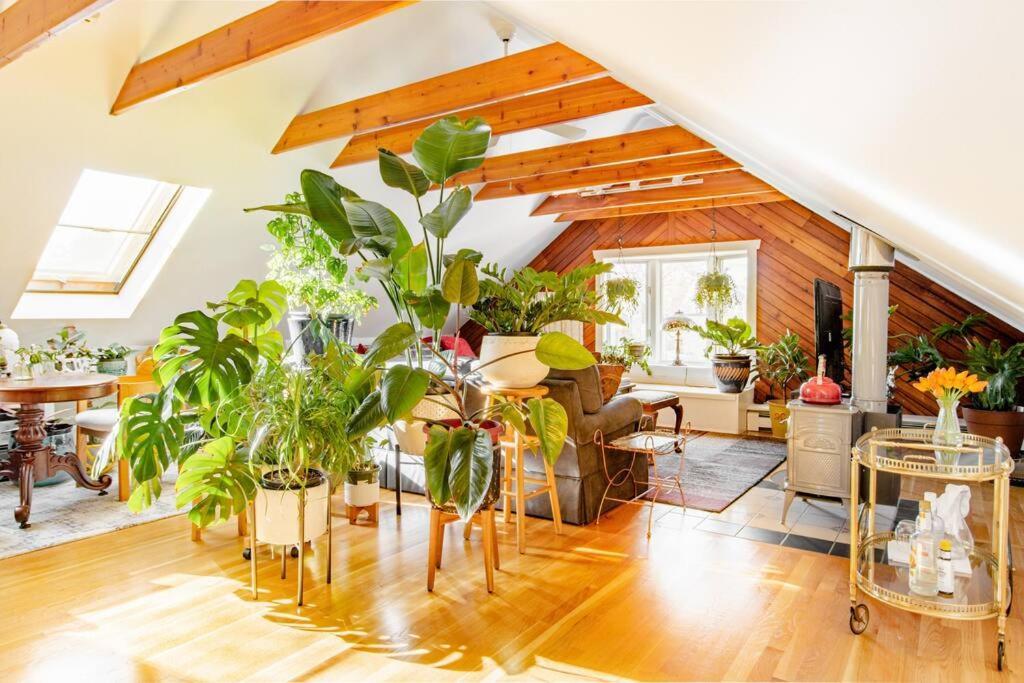 Urban Oasis In Hope Village Providence Bagian luar foto