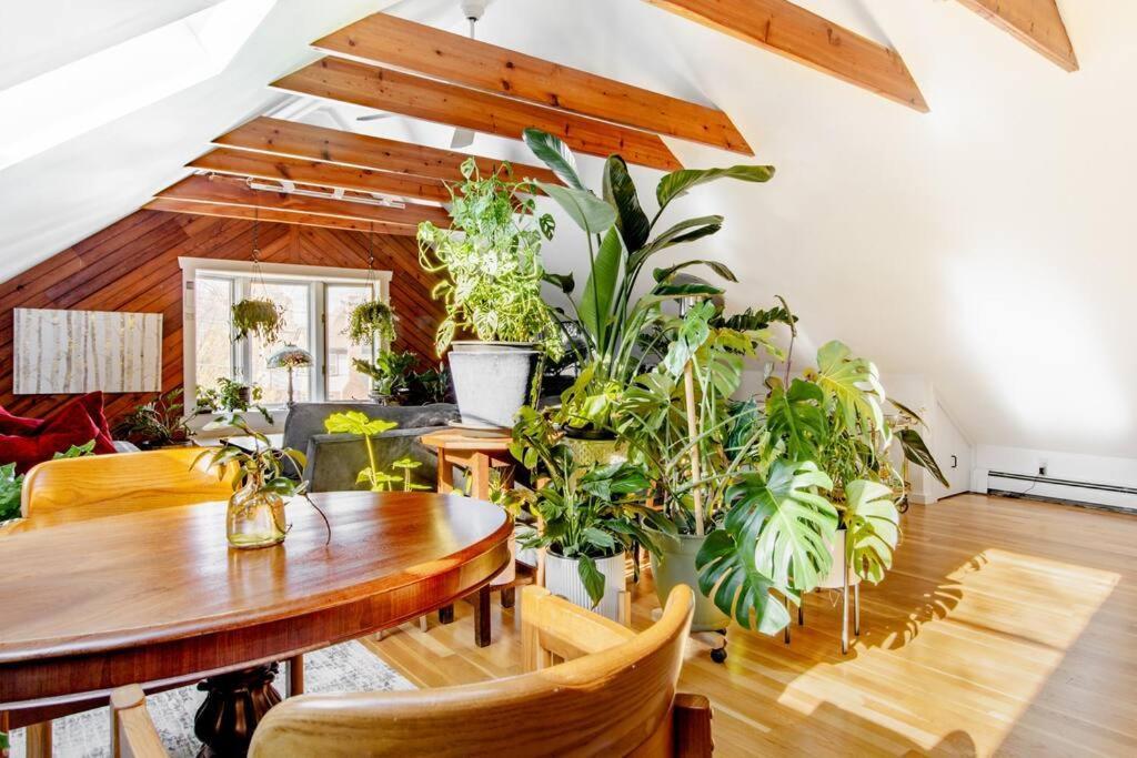 Urban Oasis In Hope Village Providence Bagian luar foto