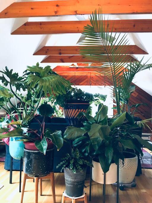 Urban Oasis In Hope Village Providence Bagian luar foto