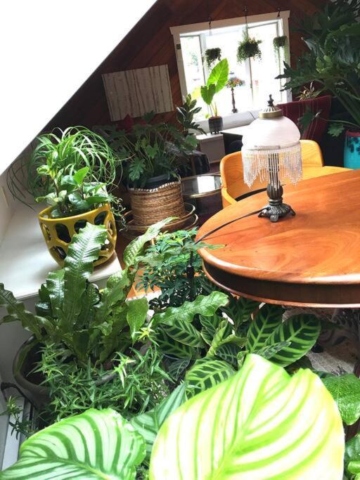 Urban Oasis In Hope Village Providence Bagian luar foto
