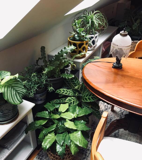 Urban Oasis In Hope Village Providence Bagian luar foto