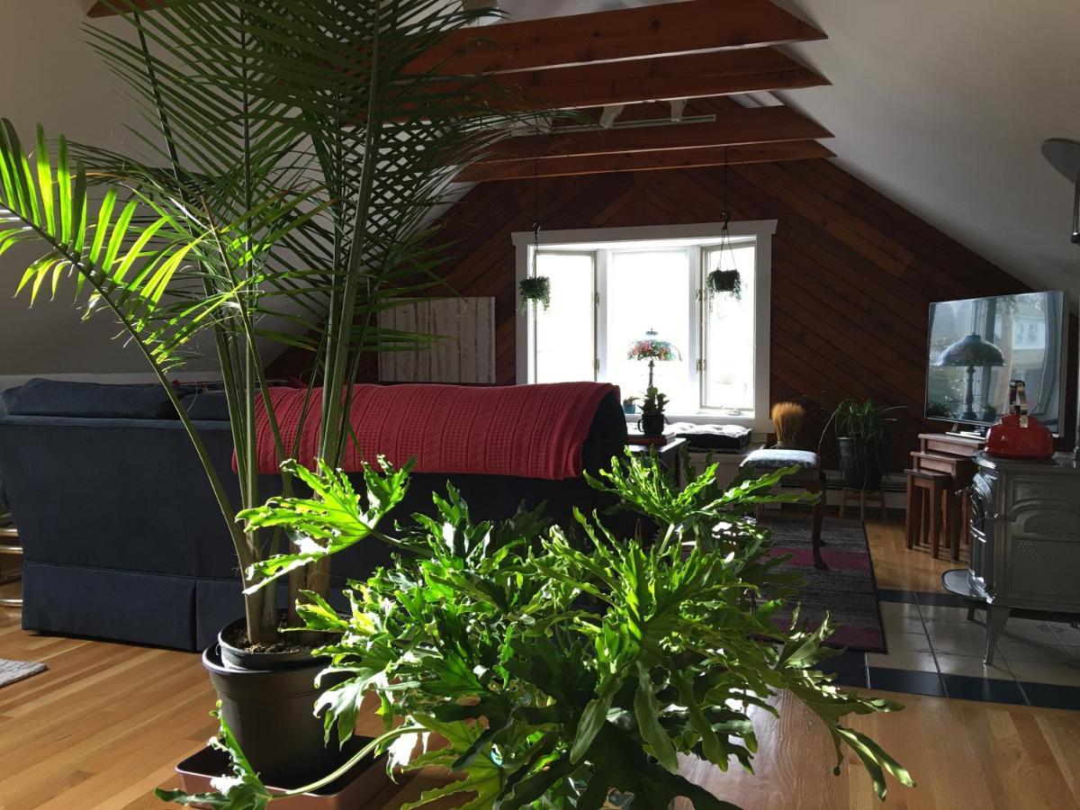 Urban Oasis In Hope Village Providence Bagian luar foto