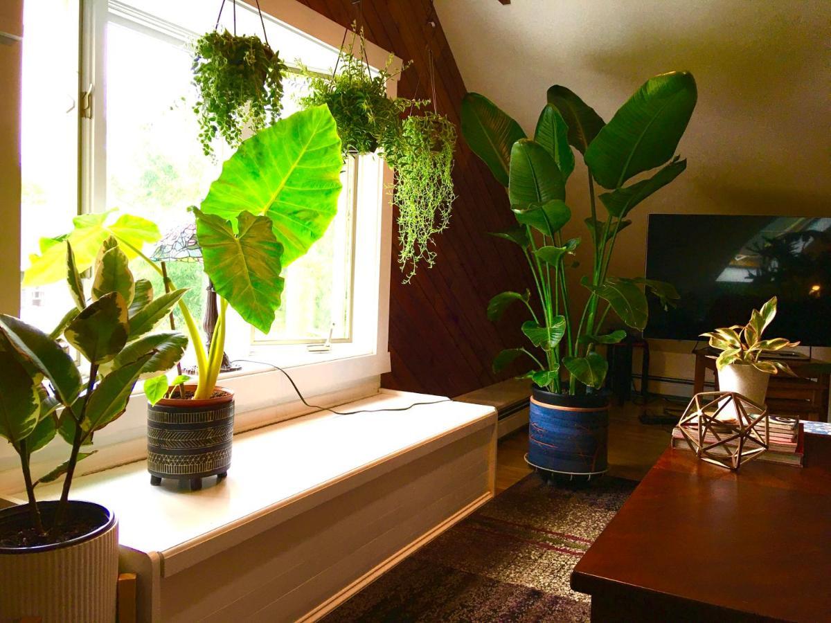 Urban Oasis In Hope Village Providence Bagian luar foto